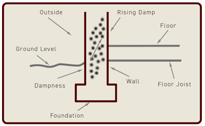 rising-damp-picture